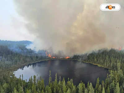 Canada Wildfires : কানাডার দাবালনে জেরবার আমেরিকা! বন্ধ চিড়িয়ানাখানা, বাইরে না যাওয়ার পরামর্শ