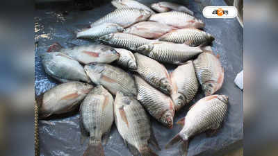 Fish Poisoning : মাছে মিলল বিষ! অন্য রাজ্য থেকে আমদানিতে নিষেধাজ্ঞা মেঘালয়ে