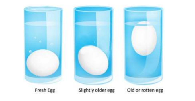 egg test