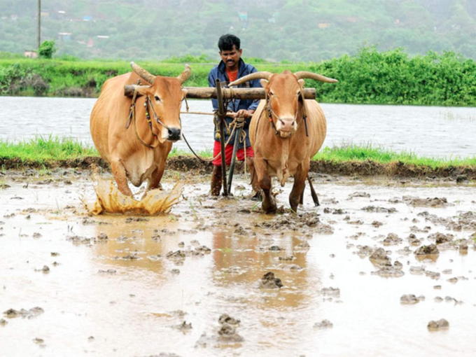 பதவி உயர்வு தரும் கனவு