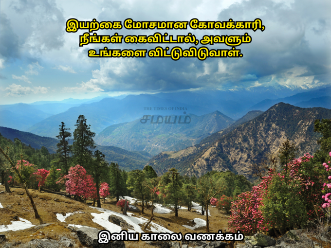 இனிய காலை வணக்கம்!