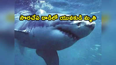 Shark Attack: బీచ్‌లో సొరచేప దాడి.. చూస్తుండగానే యువకుడిని చంపి తినేసింది