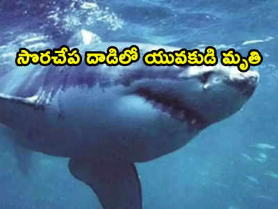 Shark Attack: బీచ్‌లో సొరచేప దాడి.. చూస్తుండగానే యువకుడిని చంపి తినేసింది