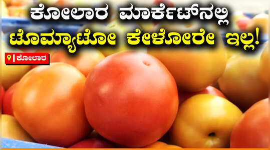 ಗುಣಮಟ್ಟ ಕೊರತೆ, ಟೊಮ್ಯಾಟೊ ಕೊಳ್ಳಲು ವರ್ತಕರ ಹಿಂದೇಟು; ಮಾರ್ಕೆಟ್‌ನಲ್ಲೇ ಉಳಿದ ರಾಶಿ ರಾಶಿ ಟೊಮ್ಯಾಟೋ