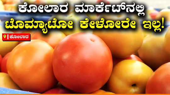 the demand for tomato fruit has fallen in kolars apmc market 