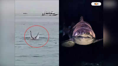 Shark Eats Russian Tourist Video : এ যেন স্পিলবার্গের জস সিনেমা! প্রেমিকার সামনে যুবককে গিলে খেল দানবীয় হাঙর, দেখুন ভিডিয়ো