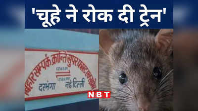 OMG! बिहार में एक चूहे ने रोक दी बिहार संपर्क क्रांति एक्सप्रेस, पूरी घटना जानकर आप भी हो जाएंगे हैरान