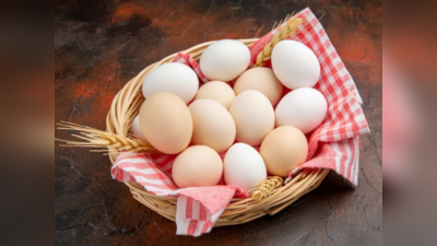 सावधान! आप तो नहीं खा रहे नकली Egg? ऐसे करें शुद्धता की जांच और जानें प्लास्टिक के अंडों का सच