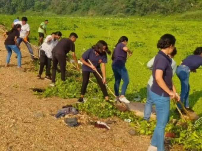 ​जलकुंभी से बनी साड़ियों की कीमत दो से साढ़े तीन हजार के बीच