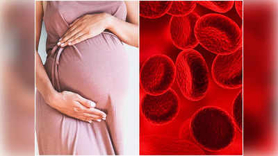 Anemia in Pregnancy: গর্ভাবস্থায় আয়রনের ঘাটতি হলেই বিপদ! অ্যানিমিয়ার এই লক্ষণগুলি দেখলেই তাই চিকিৎসকের পরামর্শ নিন ঝটপট