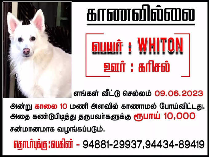 nellai dog poster