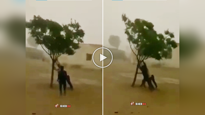 Video: अजून माणुसकी जिवंत! तरुणांनी चक्रिवादळात उडी मारून वाचवले झाडाचे प्राण
