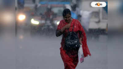 Kolkata Rainfall Forecast : বিকেল হতেই ঝোড়ো হাওয়া, কিছুক্ষণের মধ্যেই বজ্রবিদ্যুৎ সহ বৃষ্টি কলকাতায়