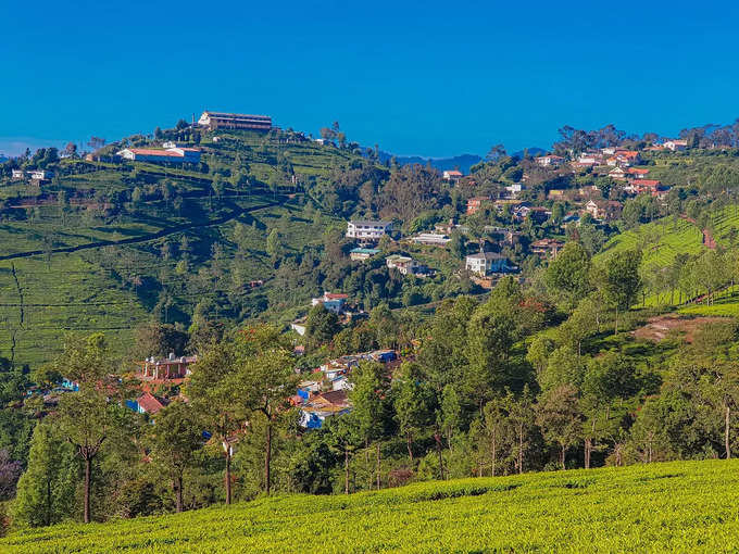 রোজ গার্ডেন