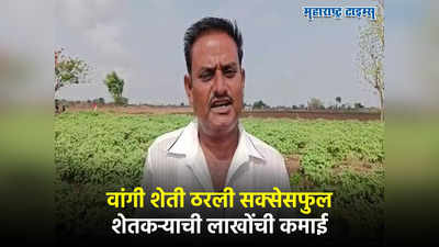 Agri Success Story : पाणी आणि खताचं परफेक्ट नियोजन, वांगी शेतीतून शेतकऱ्यानं करुन दाखवलं, लाखोंची कमाई