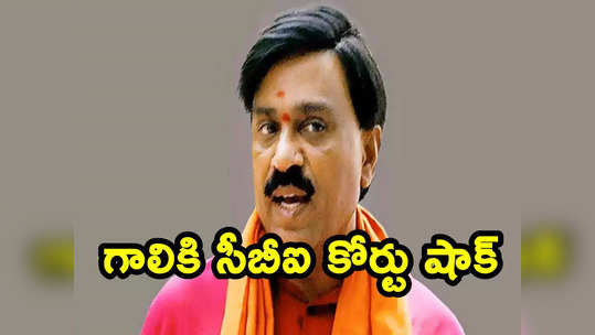 Gali Janardhan Reddy: మైనింగ్ కింగ్ గాలి జనార్ధన్ రెడ్డికి షాక్.. వందకు పైగా ఆస్తుల సీజ్‌కు ఆదేశాలు 