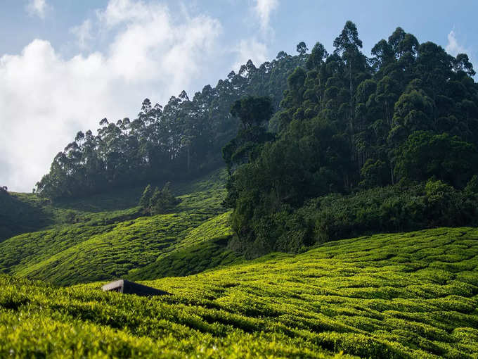 কুনুর, তামিলনাড়ু