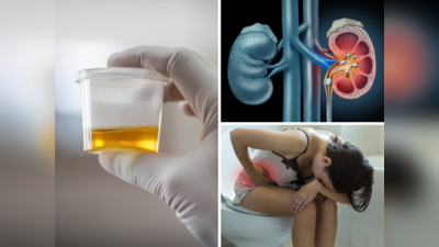 Urine Infection Risk: पेशाब से जुड़ी ये छोटी गलती बना देगी Kidney Stones, महिलाएं हो जाएं सावधान