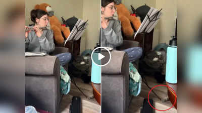 Funny Video: महिला बजा रही थी बांसुरी, तभी बिल्ली ने किया कुछ ऐसा कि वीडियो देखकर लोगों की हंसी नहीं रुक रही