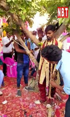 groom tied to tree in pratapgarh procession reached police station watch video
