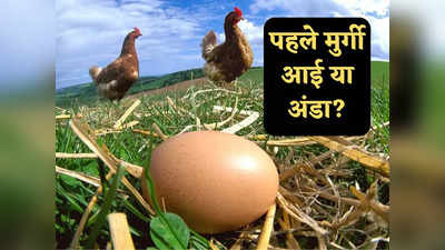 Science News: पहले मुर्गी आई या अंडा? वैज्ञानिकों ने किया खुलासा, आज आप भी जान लीजिए सही जवाब