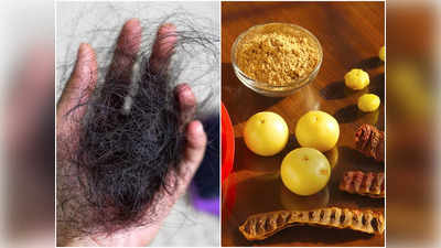 Herbs For Hair Fall: গোছা গোছা চুল ওঠা বন্ধ হবে কয়েক সপ্তাহে, দামি প্রোডাক্ট নয় বরং এই ৪ ভেষজই দেখাবে কামাল