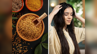 Methi Seeds: ५ पद्धतीने करा मेथी दाण्याचा वापर, केसांची वाढ थांबणारच नाही होतील घनदाट