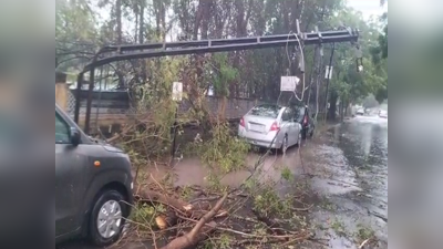 Cyclone Biparjoyને કારણે ગુજરાતમાં 5,150 વીજપોલ પડ્યા, 582 વૃક્ષ ધરાશાયી, એકપણ માનવ મોત નહીં