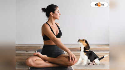 Yoga With Pets : কুকুরছানা সঙ্গে নিয়ে যোগব্যায়াম! শরীর-মন ভালো রাখতে জেলা প্রশাসনের উদ্যোগে এবার পগা