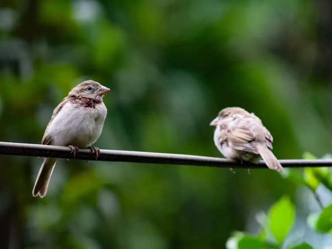 ಮುದ್ದೇನಹಳ್ಳಿ