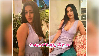 Meera Jasmine: సన్నజాజిలా మీరా జాస్మిన్.. లేటు వయసులో హీటు పెంచుతూ! 