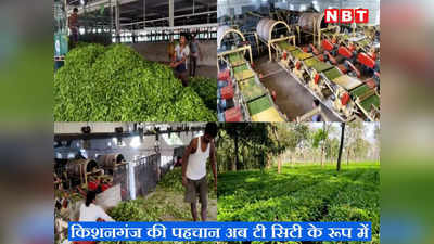 Bihar: किशनगंज की पहचान अब ‘टी सिटी’ के रूप में होगी!  50 हजार एकड़ जमीन पर 5 हजार किसान चाय की खेती में लगे