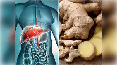 Fatty Liver Diet: কমিয়ে ফেলতে চান ফ্যাটি লিভারের কষ্ট? এই ৫ খাবার নিয়মিত খান, তাতেই ফিরবে লিভারের স্বাস্থ্য়