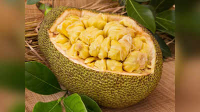 Jackfruit Health Benefits: పనసపండు తింటే గుండెకే కాదు.. థైరాయిడ్‌ పేషెంట్స్‌కు మేలు జరుగుతుంది..!