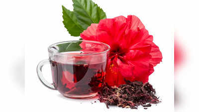 Hibiscus Tea: এই ফুল দিয়ে তৈরি চা খেলেই বাগে থাকবে প্রেশার, সুস্থ থাকবে লিভারও!