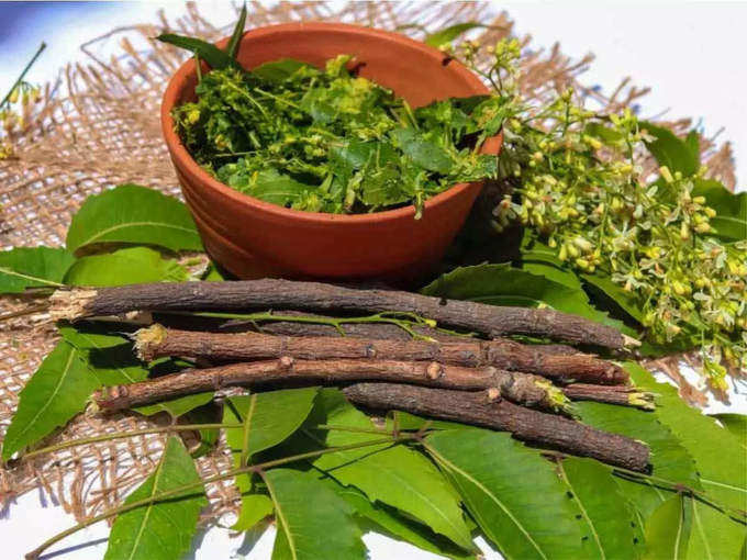 ​பல் தொற்றை தடுக்கும் வேம்பு (neem for teeth)