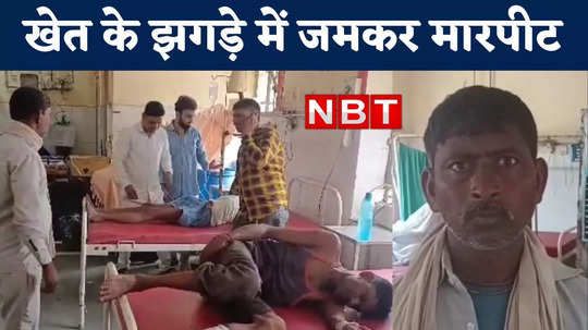 rajasthan two groups clash land dispute dholpur two brothers injured watch video