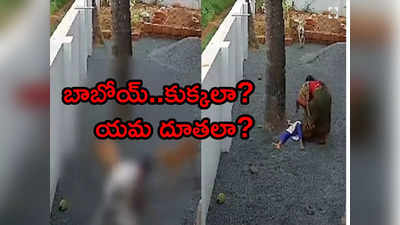 Stray Dogs Attack: 9 ఏళ్ల చిన్నారిపై దాడిచేసి ఈడ్చుకుంటూ వెళ్లిన వీధి కుక్కలు.. భయానక వీడియో 