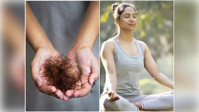 Yoga For Hair Loss: কয়েক সপ্তাহে মুঠো মুঠো চুল ওঠা হবে বন্ধ, দিনে মাত্র ১ বার সহজ ৩ যোগাসন করুন