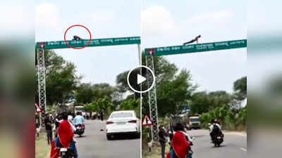 Viral Video: ऊंचे लोग ऊंची पसंद..., सड़क के साइनबोर्ड पर पुशअप्स करते दिखा बंदा, वीडियो देखकर लोग दंग रह गए