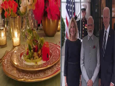 PM Modi US Visit: બાજરીની કેક, મશરૂમ...પીએમ મોદીના સ્ટેટ ડિનરમાં પીરસાશે ખાસ વાનગીઓ, ફર્સ્ટ લેડી જિલ બાઈડને તૈયાર કરાવ્યું મેનૂ 