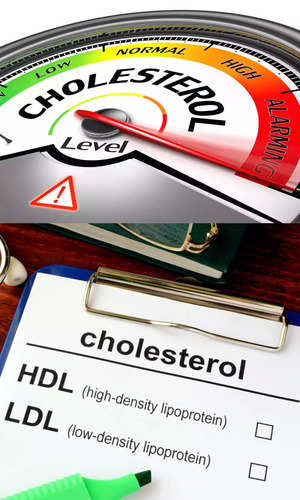 samayam/health/tips-for-controlling-cholestrol
