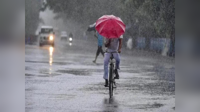 Gujarat Monsoon Update: શું ખરેખર આ વર્ષે રાજ્યમાં ચોમાસુ ખેંચાશે? વરસાદ અંગે શું છે હવામાન વિભાગની આગાહી? 