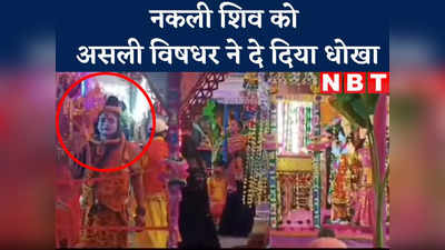 Madhepura News Live Today : बिहार में नकली शिव को असली विषधर ने दे दिया धोखा, डसने पर गए स्वर्ग सिधार