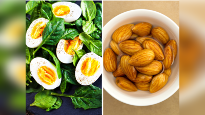 Calcium Rich Foods: अंडे से एलर्जी है? फिक्र न करें ये 5 चीजें देंगी Eggs से ज्यादा ताकत, बेजान शरीर बनेगा मोटा-ताजा