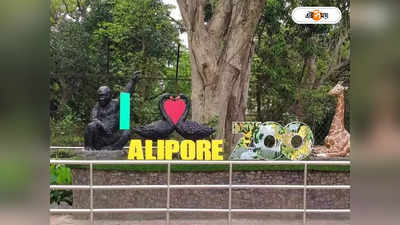 Alipore Zoo : আলিপুর চিড়িয়াখানায় ‘ফুড কোর্ট’! সঙ্গে এসি রেস্তরাঁ চালুর সিদ্ধান্তও