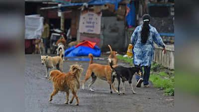 सावधान! चिलचिलाती गर्मी से हमलावर हो रहे कुत्ते? Gorakhpur में रेबीज का टीका लगवाने वालों की बढ़ी भीड़