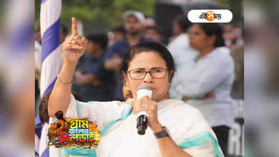 Mamata Banerjee Rajiva Sinha: ...এত সহজ নয়! রাজ্য নির্বাচন কমিশনার অপসরণ বিতর্কে মুখ খুললেন মমতা