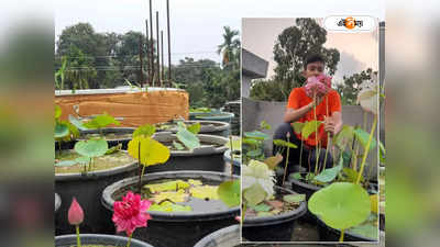 Lotus farming at Home : ছাদে ৪৫ রকমের পদ্ম চাষ, উপার্জনের নতুন দিশা দেখাল কোচবিহারের কলেজ পড়ুয়া