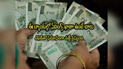 Savings Account: సేవింగ్స్ ఖాతాతోనే ఎక్కువ వడ్డీ కావాలా? ఈ బ్యాంకులను పరిశీలించండి 